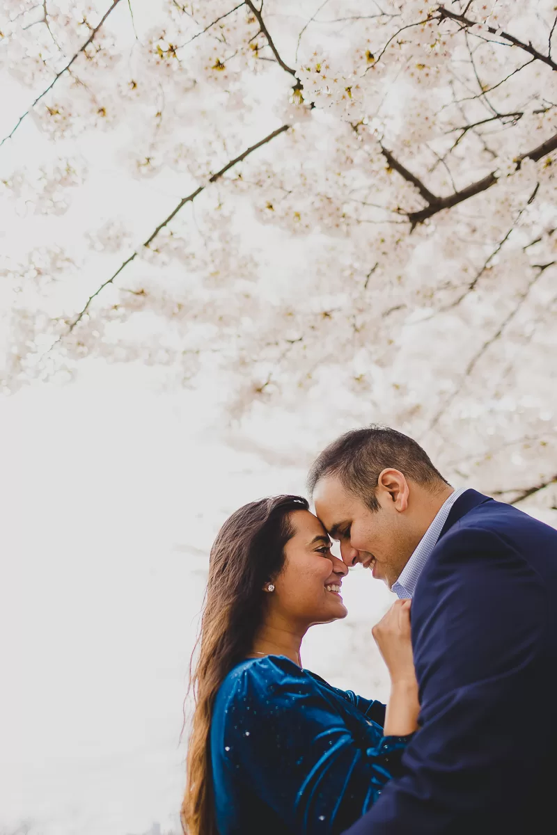 Cherry Blossom with desi couple in Long Island City holding each other closely