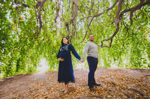 Maternity at Prospect Park Brooklyn underneath a tree