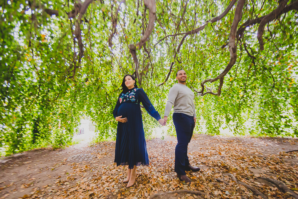 Maternity at Prospect Park Brooklyn underneath a tree