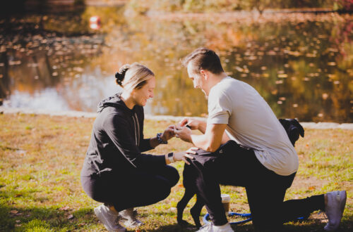 Prospect Park, Brooklyn Proposal