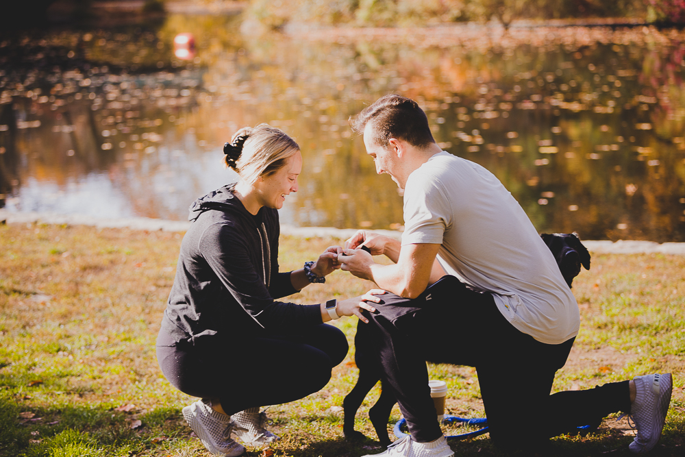 Prospect Park, Brooklyn Proposal