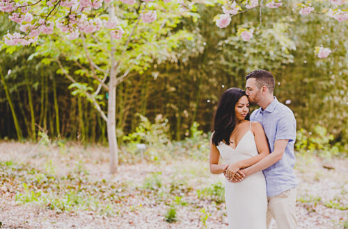 Couple hugging and kissing in a field of cherry blossoms at the Brooklyn Botanical Garden