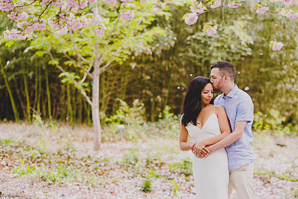 Couple hugging and kissing in a field of cherry blossoms at the Brooklyn Botanical Garden