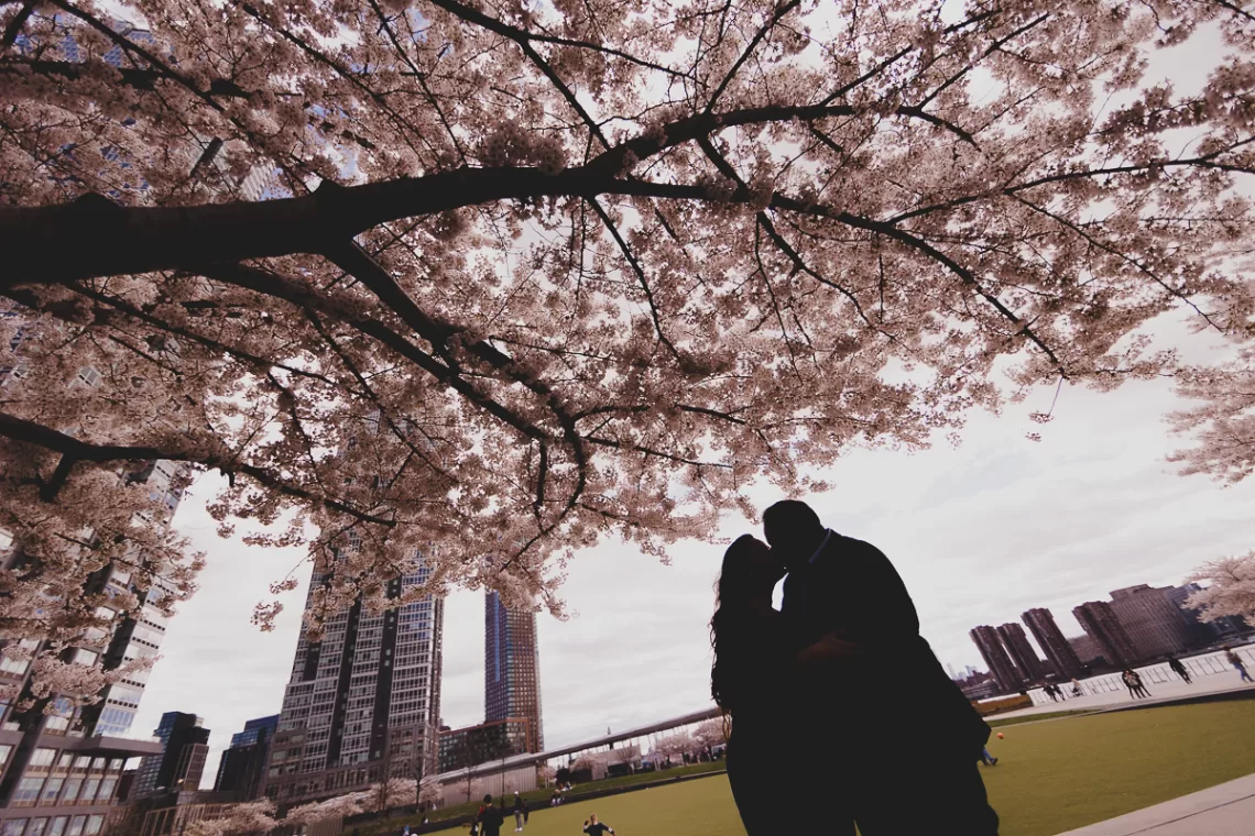 Silhouette of a South Asian couple (desi) standing close together under a canopy of cherry blossom trees in Long Island City.