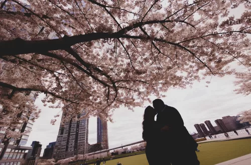 Silhouette of a South Asian couple (desi) standing close together under a canopy of cherry blossom trees in Long Island City.